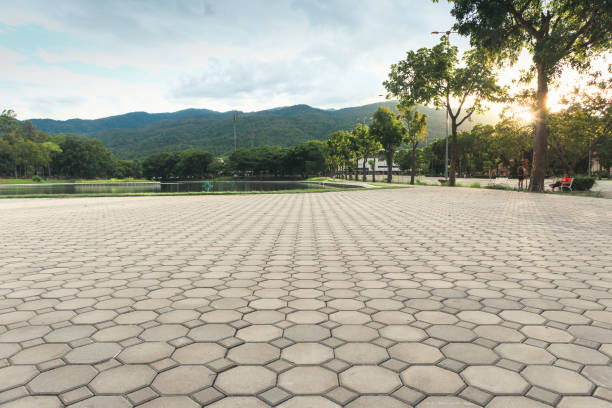 Best Residential Driveway Paver Services  in Giddings, TX